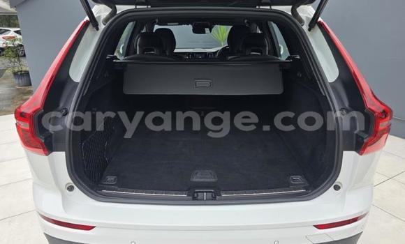 Buy Used Volvo XC60 White Car in Gobabis in Omaheke Buy Used Volvo XC60 White Car in Gobabis in Omaheke