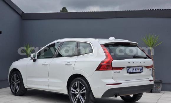 Buy Used Volvo XC60 White Car in Gobabis in Omaheke Buy Used Volvo XC60 White Car in Gobabis in Omaheke