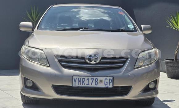 Buy Used Toyota Corolla Other Car in Gobabis in Omaheke