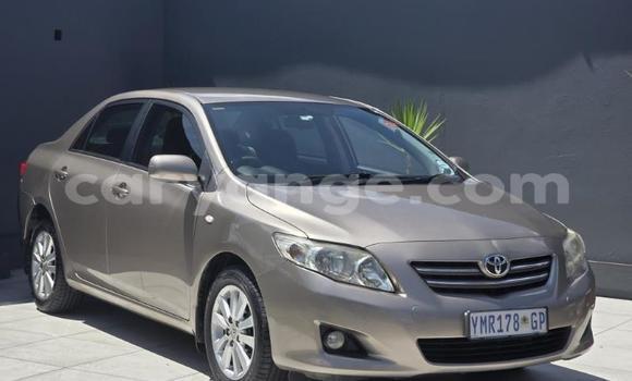 Buy Used Toyota Corolla Other Car in Gobabis in Omaheke Buy Used Toyota Corolla Other Car in Gobabis in Omaheke