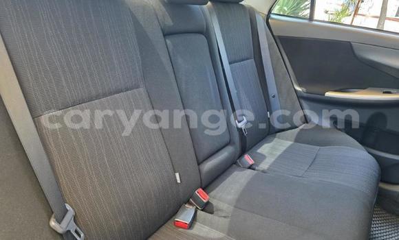 Buy Used Toyota Corolla Other Car in Gobabis in Omaheke Buy Used Toyota Corolla Other Car in Gobabis in Omaheke