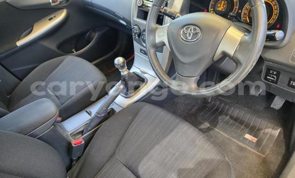 Buy Used Toyota Corolla Other Car in Gobabis in Omaheke Buy Used Toyota Corolla Other Car in Gobabis in Omaheke