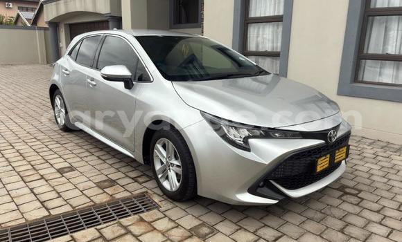 Buy Used Toyota Corolla Silver Car in Gobabis in Omaheke