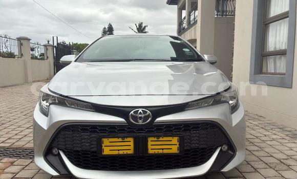 Buy Used Toyota Corolla Silver Car in Gobabis in Omaheke Buy Used Toyota Corolla Silver Car in Gobabis in Omaheke