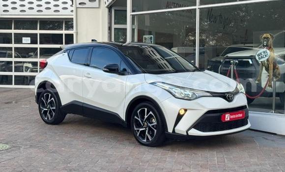 Buy Used Toyota C-HR White Car in Gobabis in Omaheke