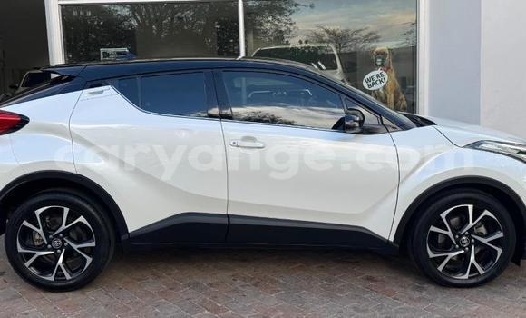 Buy Used Toyota C-HR White Car in Gobabis in Omaheke Buy Used Toyota C-HR White Car in Gobabis in Omaheke