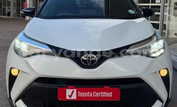 Buy Used Toyota C-HR White Car in Gobabis in Omaheke Buy Used Toyota C-HR White Car in Gobabis in Omaheke