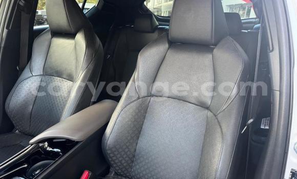 Buy Used Toyota C-HR White Car in Gobabis in Omaheke Buy Used Toyota C-HR White Car in Gobabis in Omaheke