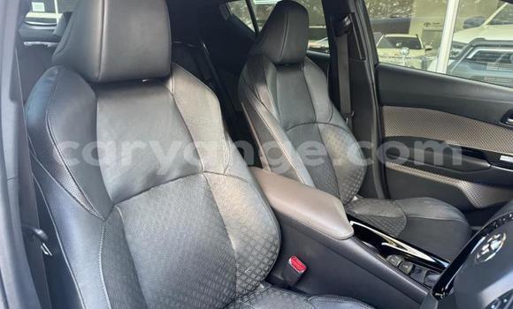 Buy Used Toyota C-HR White Car in Gobabis in Omaheke Buy Used Toyota C-HR White Car in Gobabis in Omaheke