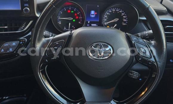 Buy Used Toyota C-HR White Car in Gobabis in Omaheke Buy Used Toyota C-HR White Car in Gobabis in Omaheke