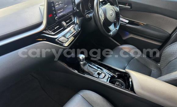 Buy Used Toyota C-HR White Car in Gobabis in Omaheke Buy Used Toyota C-HR White Car in Gobabis in Omaheke