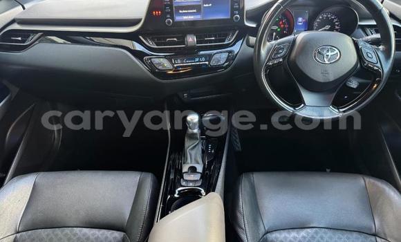 Buy Used Toyota C-HR White Car in Gobabis in Omaheke Buy Used Toyota C-HR White Car in Gobabis in Omaheke