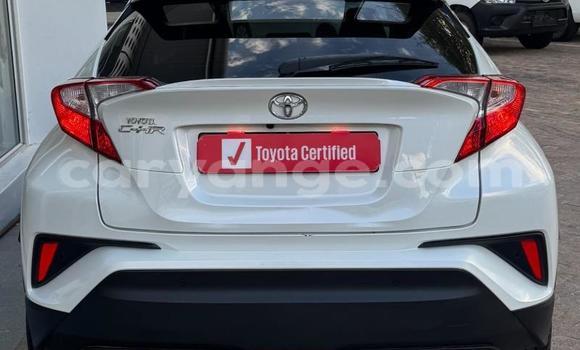 Buy Used Toyota C-HR White Car in Gobabis in Omaheke Buy Used Toyota C-HR White Car in Gobabis in Omaheke