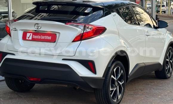 Buy Used Toyota C-HR White Car in Gobabis in Omaheke Buy Used Toyota C-HR White Car in Gobabis in Omaheke