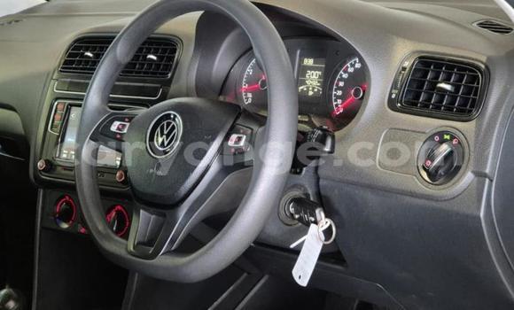 Buy Used Volkswagen Polo Other Car in Gobabis in Omaheke Buy Used Volkswagen Polo Other Car in Gobabis in Omaheke
