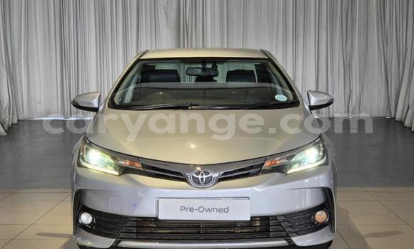 Buy Used Toyota Corolla Silver Car in Gobabis in Omaheke