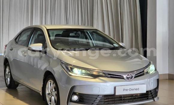 Buy Used Toyota Corolla Silver Car in Gobabis in Omaheke Buy Used Toyota Corolla Silver Car in Gobabis in Omaheke