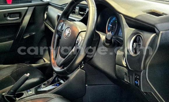 Buy Used Toyota Corolla Silver Car in Gobabis in Omaheke Buy Used Toyota Corolla Silver Car in Gobabis in Omaheke