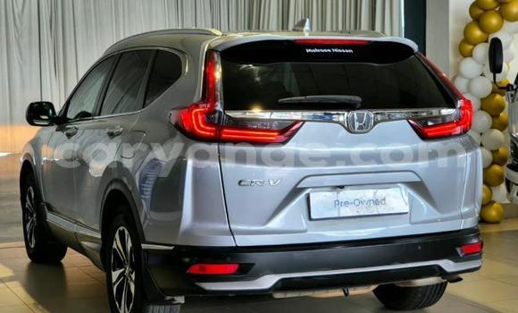 Buy Used Honda CR–V Silver Car in Gobabis in Omaheke Buy Used Honda CR–V Silver Car in Gobabis in Omaheke