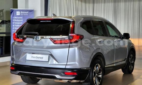 Buy Used Honda CR–V Silver Car in Gobabis in Omaheke Buy Used Honda CR–V Silver Car in Gobabis in Omaheke
