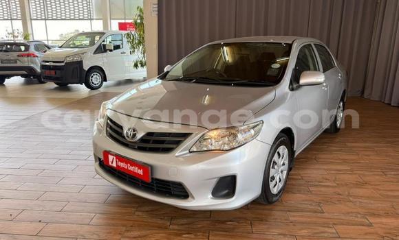 Buy Used Toyota Corolla Silver Car in Gobabis in Omaheke Buy Used Toyota Corolla Silver Car in Gobabis in Omaheke