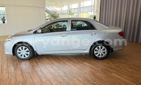 Buy Used Toyota Corolla Silver Car in Gobabis in Omaheke Buy Used Toyota Corolla Silver Car in Gobabis in Omaheke