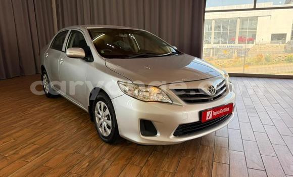 Buy Used Toyota Corolla Silver Car in Gobabis in Omaheke Buy Used Toyota Corolla Silver Car in Gobabis in Omaheke