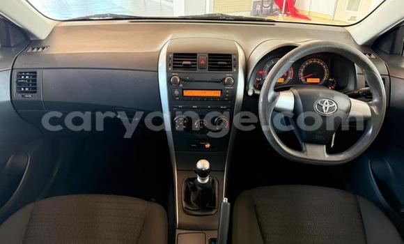 Buy Used Toyota Corolla Silver Car in Gobabis in Omaheke Buy Used Toyota Corolla Silver Car in Gobabis in Omaheke
