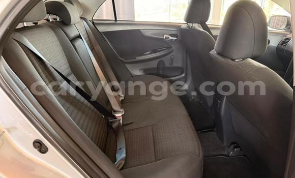 Buy Used Toyota Corolla Silver Car in Gobabis in Omaheke Buy Used Toyota Corolla Silver Car in Gobabis in Omaheke