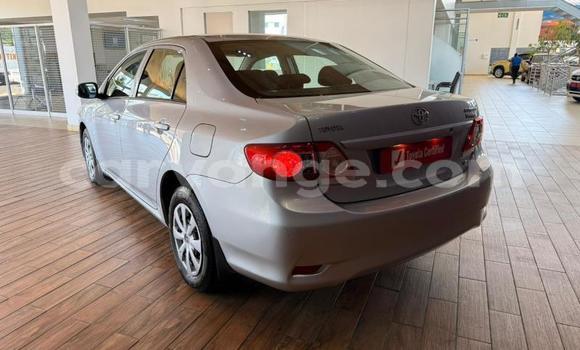 Buy Used Toyota Corolla Silver Car in Gobabis in Omaheke Buy Used Toyota Corolla Silver Car in Gobabis in Omaheke