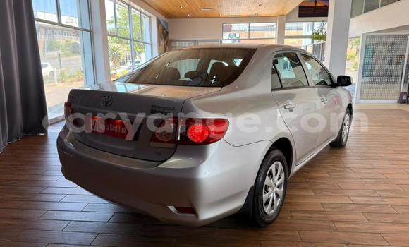 Buy Used Toyota Corolla Silver Car in Gobabis in Omaheke Buy Used Toyota Corolla Silver Car in Gobabis in Omaheke