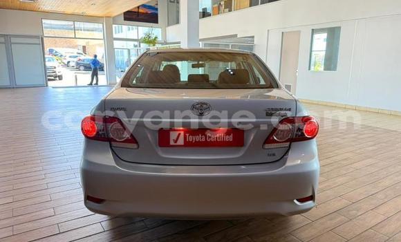 Buy Used Toyota Corolla Silver Car in Gobabis in Omaheke Buy Used Toyota Corolla Silver Car in Gobabis in Omaheke