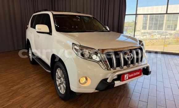 Buy Used Toyota Land Cruiser Prado White Car in Gobabis in Omaheke Buy Used Toyota Land Cruiser Prado White Car in Gobabis in Omaheke