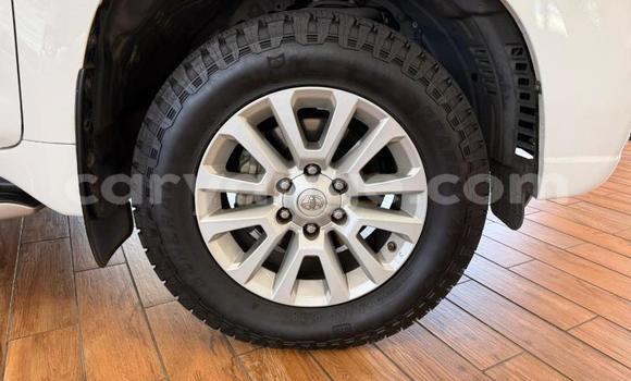 Buy Used Toyota Land Cruiser Prado White Car in Gobabis in Omaheke Buy Used Toyota Land Cruiser Prado White Car in Gobabis in Omaheke