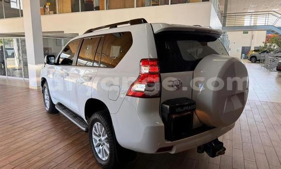 Buy Used Toyota Land Cruiser Prado White Car in Gobabis in Omaheke Buy Used Toyota Land Cruiser Prado White Car in Gobabis in Omaheke