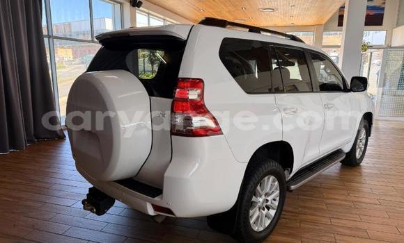 Buy Used Toyota Land Cruiser Prado White Car in Gobabis in Omaheke Buy Used Toyota Land Cruiser Prado White Car in Gobabis in Omaheke