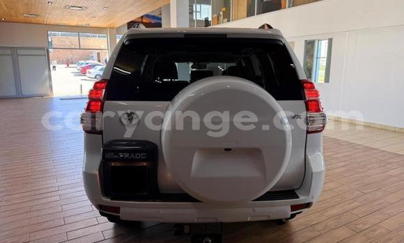 Buy Used Toyota Land Cruiser Prado White Car in Gobabis in Omaheke Buy Used Toyota Land Cruiser Prado White Car in Gobabis in Omaheke