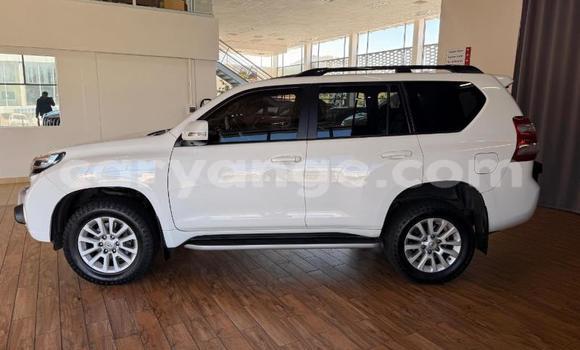 Buy Used Toyota Land Cruiser Prado White Car in Gobabis in Omaheke Buy Used Toyota Land Cruiser Prado White Car in Gobabis in Omaheke