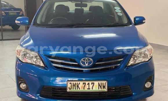 Acheter Occasion Voiture Toyota Corolla Bleu à Gobabis, Omaheke