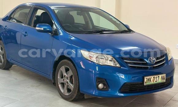 Buy Used Toyota Corolla Blue Car in Gobabis in Omaheke Buy Used Toyota Corolla Blue Car in Gobabis in Omaheke