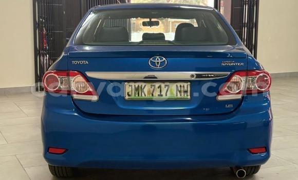 Buy Used Toyota Corolla Blue Car in Gobabis in Omaheke Buy Used Toyota Corolla Blue Car in Gobabis in Omaheke