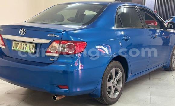 Buy Used Toyota Corolla Blue Car in Gobabis in Omaheke Buy Used Toyota Corolla Blue Car in Gobabis in Omaheke