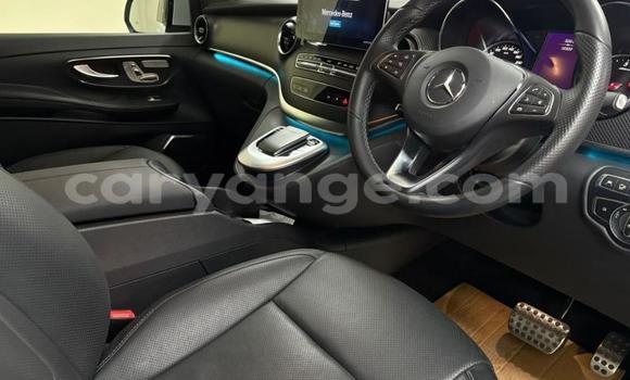 Buy Used Mercedes-Benz V-klasse White Car in Gobabis in Omaheke Buy Used Mercedes-Benz V-klasse White Car in Gobabis in Omaheke