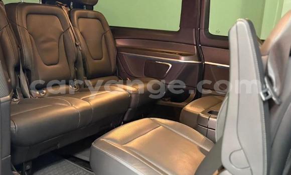 Buy Used Mercedes-Benz V-klasse White Car in Gobabis in Omaheke Buy Used Mercedes-Benz V-klasse White Car in Gobabis in Omaheke