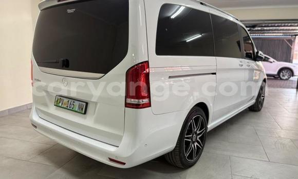 Buy Used Mercedes-Benz V-klasse White Car in Gobabis in Omaheke Buy Used Mercedes-Benz V-klasse White Car in Gobabis in Omaheke