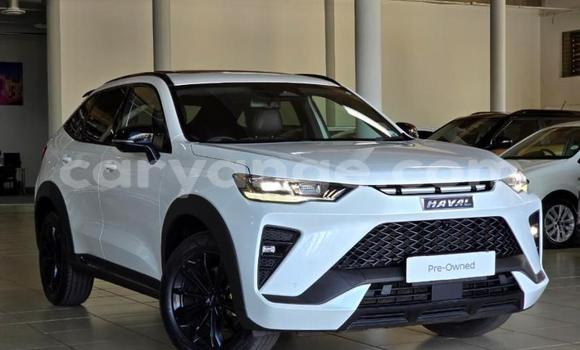 Buy Used Haval H6 White Car in Gobabis in Omaheke
