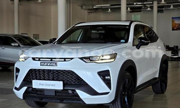 Buy Used Haval H6 White Car in Gobabis in Omaheke Buy Used Haval H6 White Car in Gobabis in Omaheke