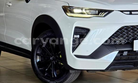 Buy Used Haval H6 White Car in Gobabis in Omaheke Buy Used Haval H6 White Car in Gobabis in Omaheke