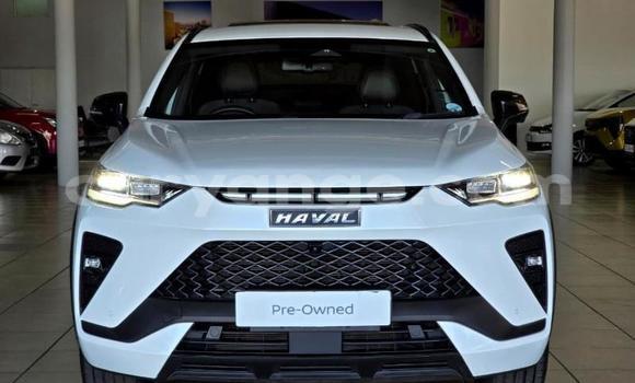 Buy Used Haval H6 White Car in Gobabis in Omaheke Buy Used Haval H6 White Car in Gobabis in Omaheke