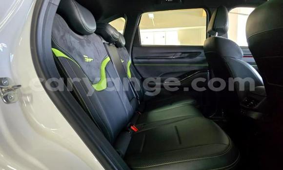 Buy Used Haval H6 White Car in Gobabis in Omaheke Buy Used Haval H6 White Car in Gobabis in Omaheke